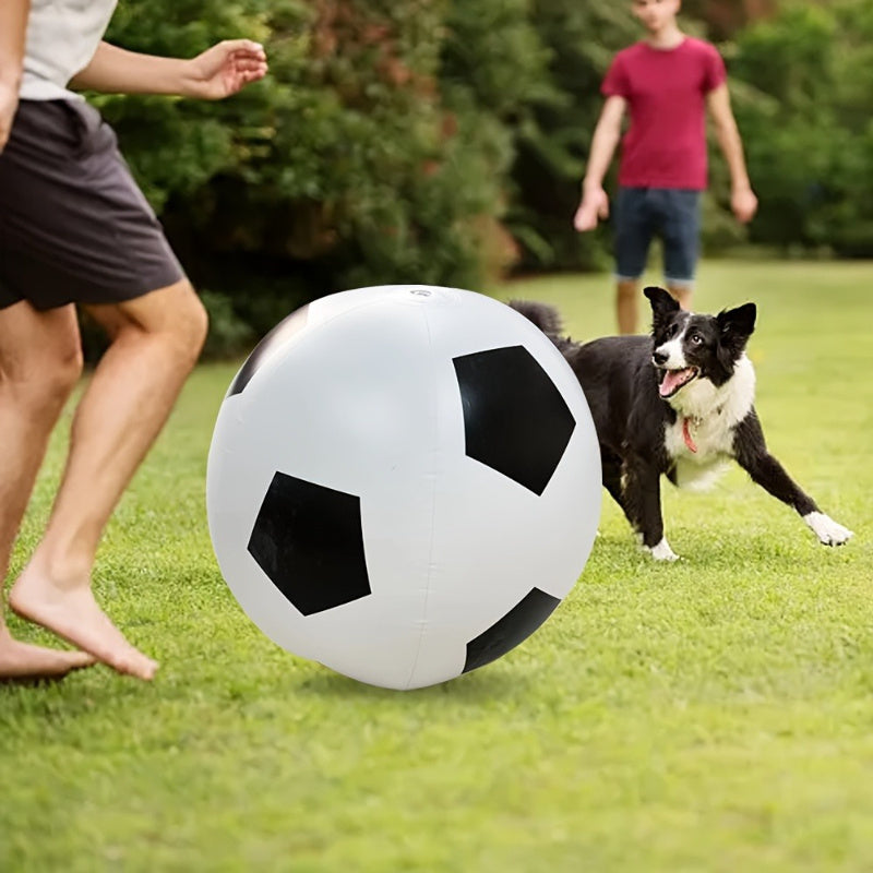 The giant football at full speed across the lawn
